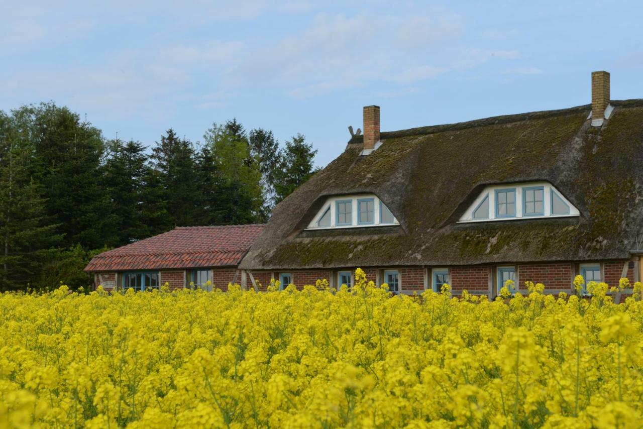 Auf Ruegen Apartment